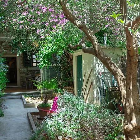 Villa House Draza à Biograd Na Moru Extérieur photo