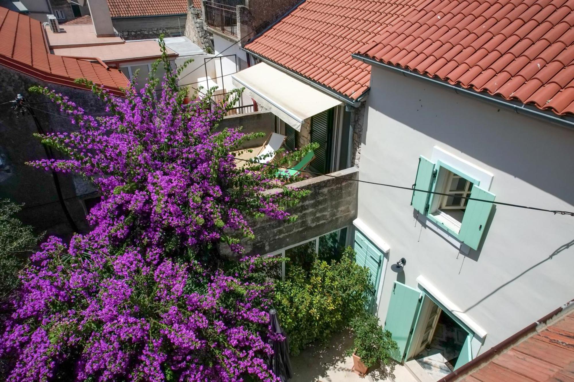 House Draza Villa
