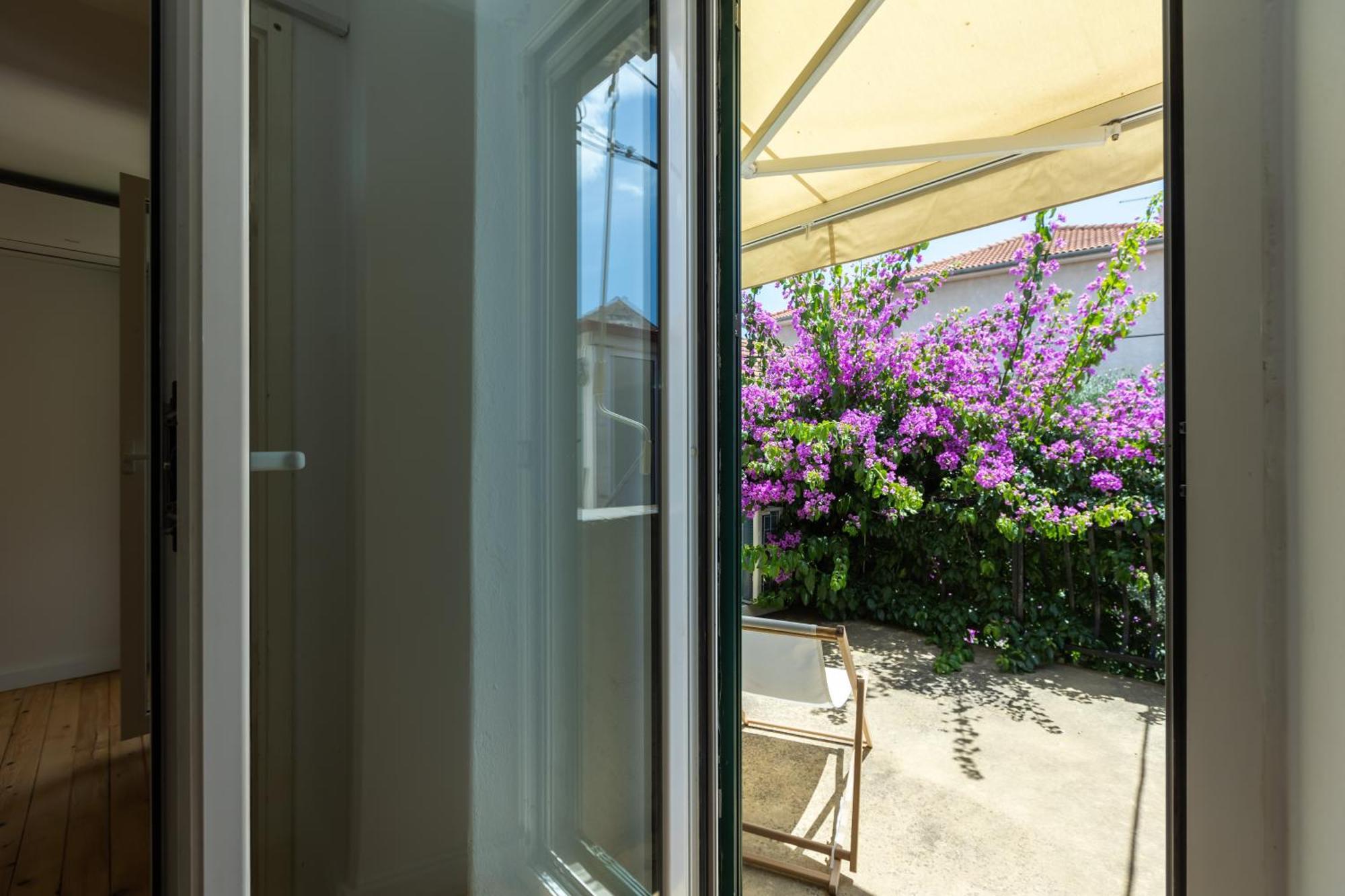 House Draza Villa *